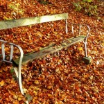 How to Prevent Dry Skin in Autumn/Winter; Cleansing Routine